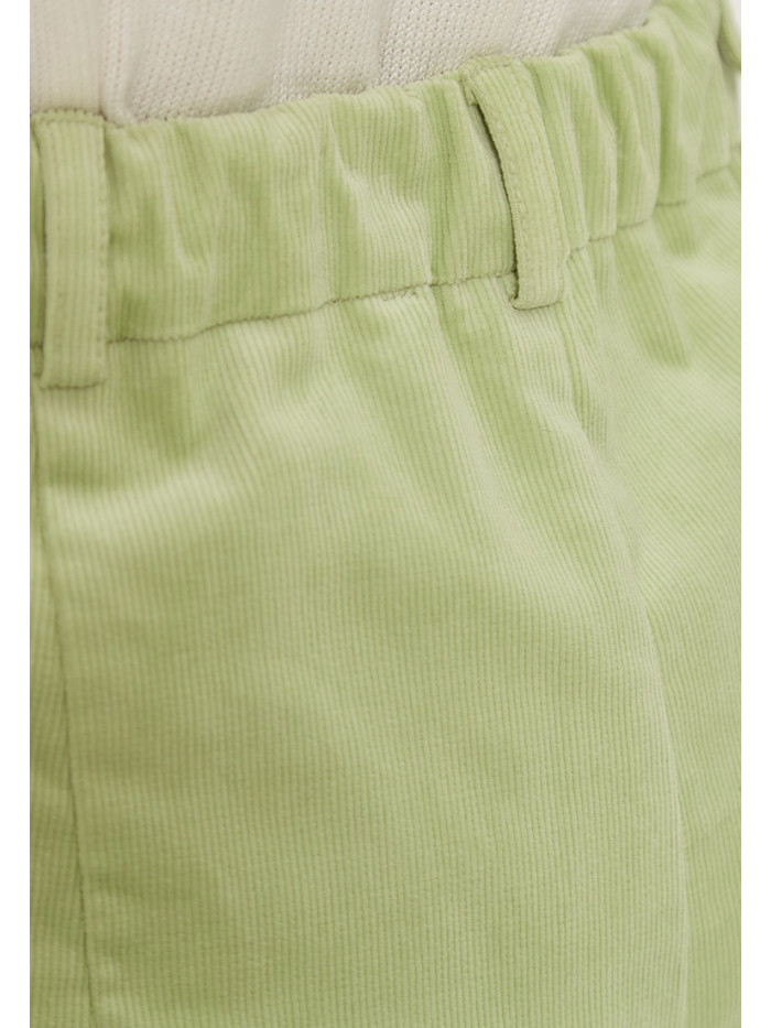Брюки демисезонные салатового цвета БД-04