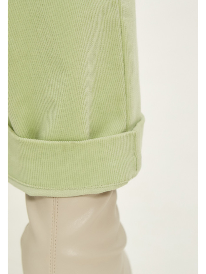 Брюки демисезонные салатового цвета БД-04